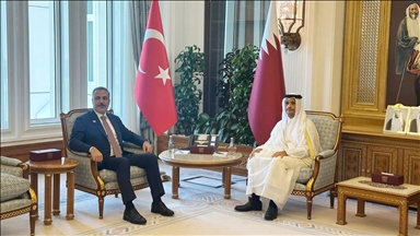 Turkish foreign minister meets his Qatari counterpart in Doha