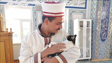 Sahip çıktığı kedileri leğende yıkayan imam hayvan sevgisiyle örnek oluyor