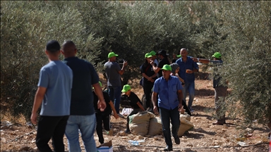 Israel deports 32 foreign activists for supporting Palestinian farmers against settler violence in West Bank