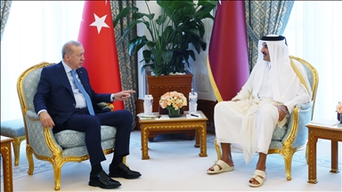 Presidenti Erdogan takohet në Doha me Emirin e Katarit Al-Thani