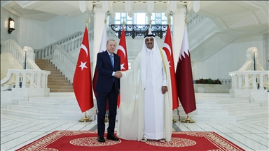 Serokomar Erdogan bi Mîrê Qeterê Al Sanî ra civiya