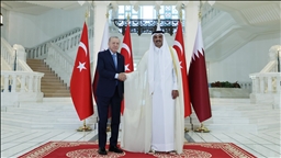 Cumhurbaşkanı Erdoğan, Katar Emiri Al Sani ile bir araya geldi