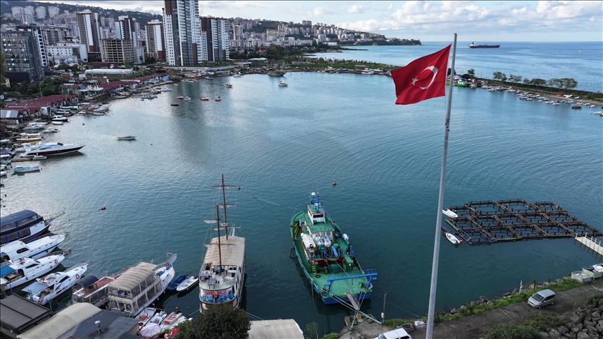 Karadeniz'de balık stoklarının araştırılmasına yönelik çalışmalar devam ediyor