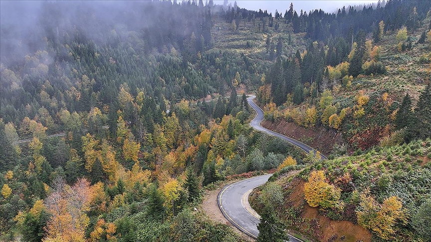 Trabzon'un yüksek kesimleri sonbahar renklerine büründü