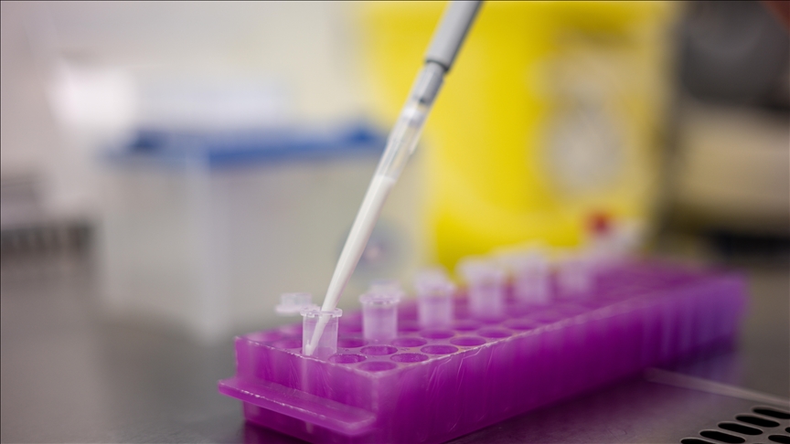 COVID-19, mRNA vaccines may help cancer treatments work better: Study
