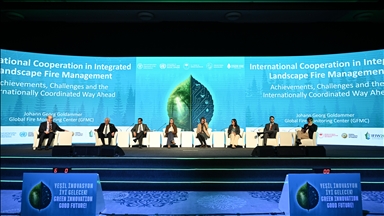 Istanbul Forest Innovation Week highlights importance of bioeconomy, forests