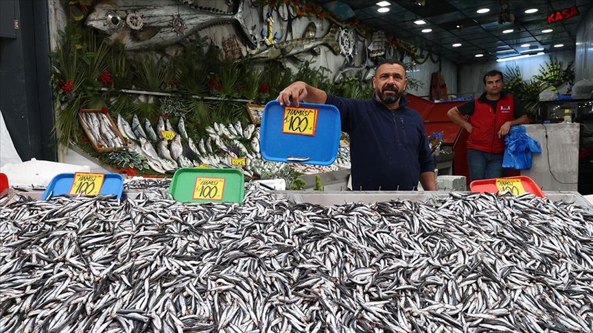 Karadeniz'de hamsi bolluğu tezgahlara yansıdı