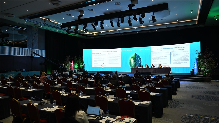 İstanbul Orman İnovasyon Haftası'nda orman izleme sistemleri ve karbon piyasaları değerlendirildi