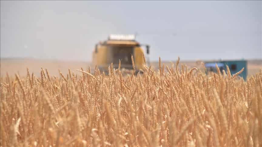 Mali–Russie: des livraisons de blé et d’engrais au cœur de la coopération