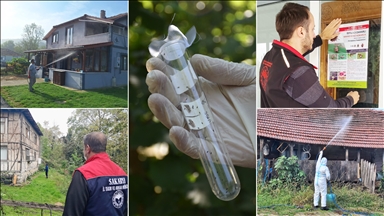 Sakarya'da kahverengi kokarca etkin mücadeleyle sıkı takipte