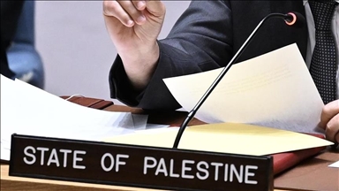 OIC pozvao Vijeće sigurnosti da podrži punopravno članstvo Palestine u UN-u
