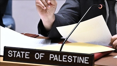 OIC calls on Security Council to back Palestine's 'full-fledged' membership in UN