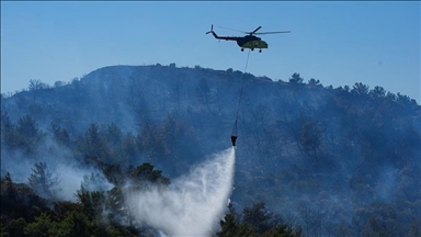 Türkiye to take lead in using technology to combat wildfires