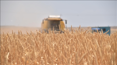 Mali–Russie: des livraisons de blé et d’engrais au cœur de la coopération