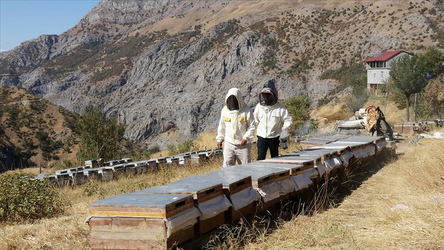 Ailesiyle yalnız yaşadığı köyde yılda 2,5 ton bal üretiyor