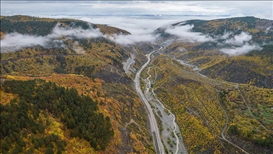 Ilgaz Dağı'nda etkili olan sis, sonbahar renkleriyle güzel görüntü oluşturdu
