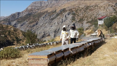 Li gundê ku bi tena serê xwe bi malbata xwe ra lê dijî salane 2,5 ton hingiv hildiberîne
