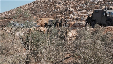 "رعب وضرب".. مسنان فلسطينيان من ضحايا البطش الإسرائيلي بالضفة