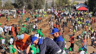 مليون غرسة بيوم.. انطلاق أكبر حملة تشجير في الجزائر