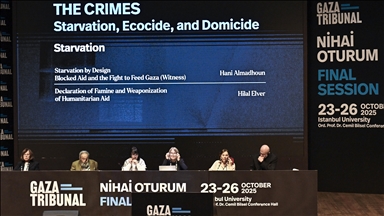 UK psychotherapist warns Gaza faces ‘trauma’ beyond calculation as support systems collapse