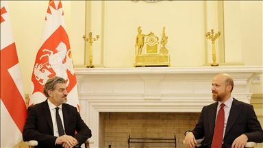 Глава Всемирной конфедерации этноспорта встретился с руководством Грузии