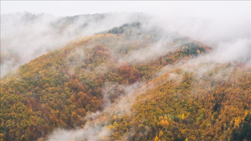 Li cihên bilind ên Çiyayê Ilgazê mij çêbû