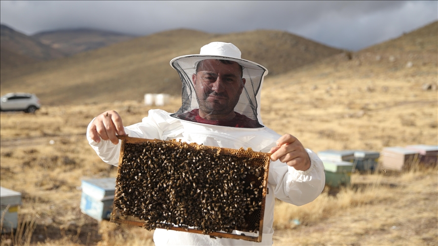 Dede mirası arıcılığı üçüncü kuşak temsilci olarak sürdürüyor