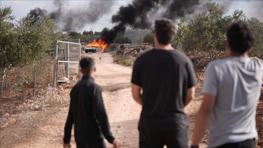 إرهاب المستوطنين الإسرائيليين.. ارتفاع الشكاوى وانخفاض التحقيقات