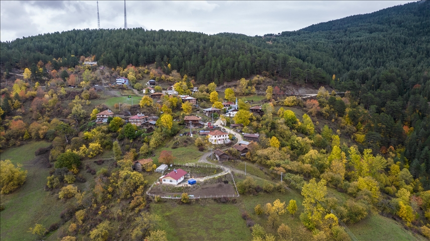 Ilgaz Dağı'nda sonbahar tüm renkleriyle yaşanıyor