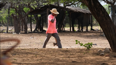 Kolombiya'nın kuzeyinde bir direniş öyküsü: Wayuu halkı köklerinden kopmadan yaşıyor