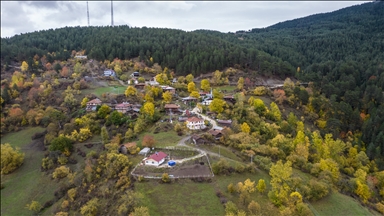 Ilgaz Dağı'nda sonbahar tüm renkleriyle yaşanıyor