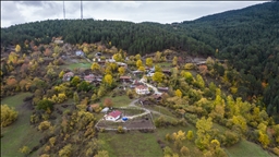 Ilgaz Dağı'nda sonbahar tüm renkleriyle yaşanıyor