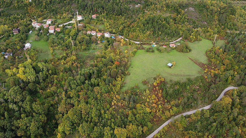 Sinop'ta sonbahar güzelliği seyirlik manzaralar sunuyor