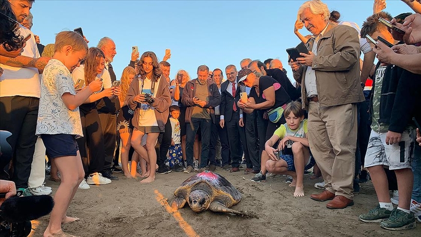 Caretta caretta "Cumhuriyet" mavi sularda 1 yılda 500 kilometre yol katetti