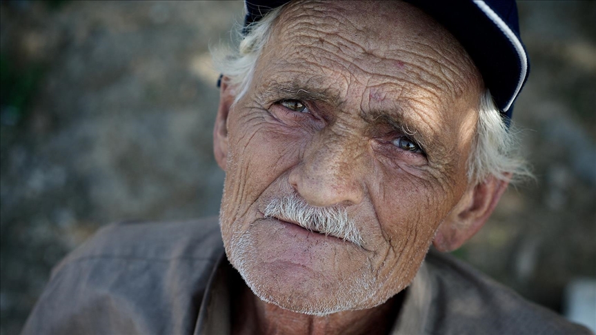 Gray hair linked to body's anti-cancer defense mechanism, study finds