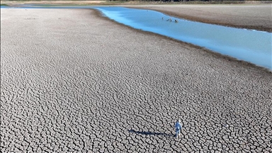 Most countries fall short on updated climate plans: UN report