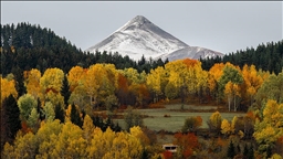 Karadeniz yaylalarında sonbahar renkleri hakim oldu