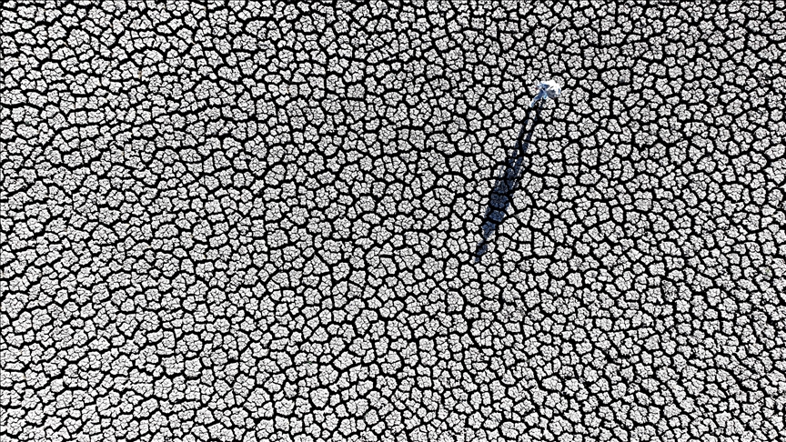 Heat-related deaths surge 63% amid record global temperatures