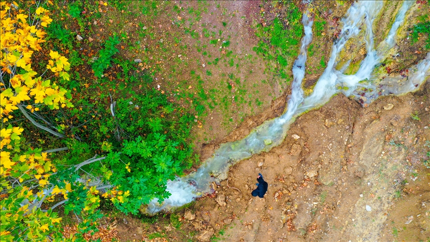 Depremle yeniden akmaya başlayan pınar, bahçeleri yeşertecek