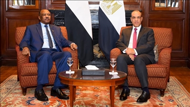 وزيرا خارجية مصر والسودان يبحثان التطورات بالفاشر
