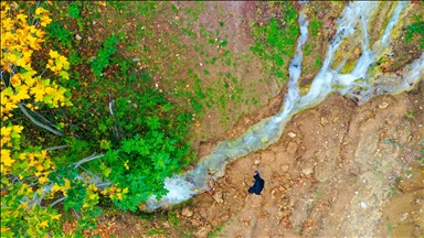 Depremle yeniden akmaya başlayan pınar, bahçeleri yeşertecek