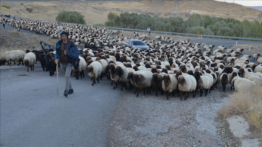Dagêra koçeran a ji zozanan dewam dike