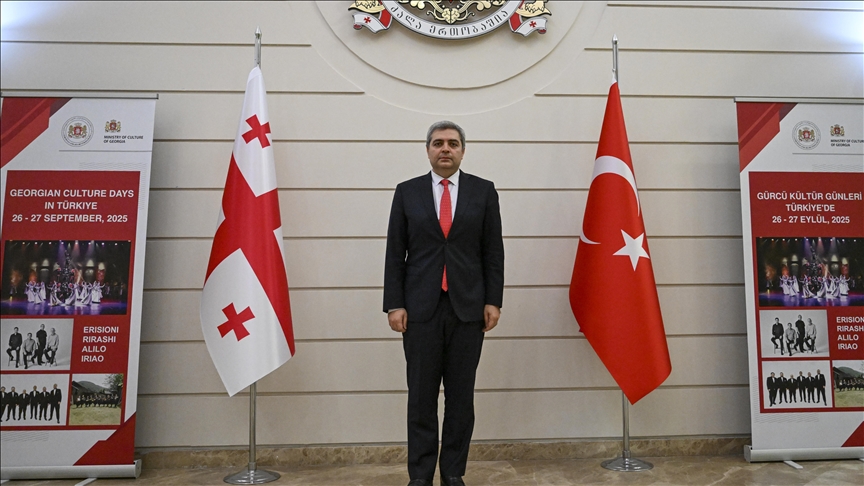 Посол Грузии в Турции: Тбилиси и Анкара способствует укреплению стабильности и мира в регионе