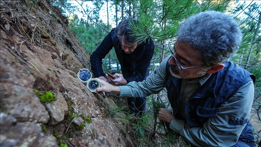 Sındırgı depremlerinin "ölü" fayların yeniden aktifleşmesiyle meydana geldiği belirlendi
