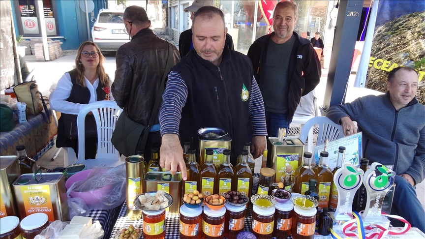 Çanakkale'de "Eceabat Zeytinyağı Festivali ve Zeytin Hasat Şenliği" düzenlendi