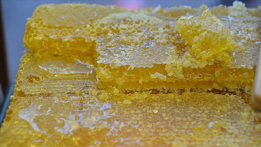 Doğu Karadeniz'in 9 aylık bal ihracatı 1,7 milyon doları aştı