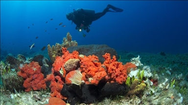 Длабоките сини води на Чешме ги пречекуваат ентузијастите за нуркање