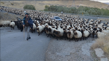Dagêra koçeran a ji zozanan dewam dike