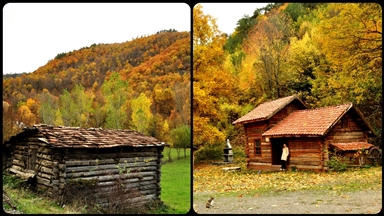 Kastamonu ormanları sonbahar renklerine büründü