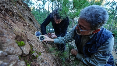 Sındırgı depremlerinin "ölü" fayların yeniden aktifleşmesiyle meydana geldiği belirlendi
